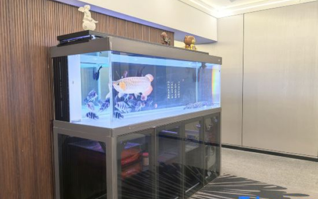 Yexinglan Art Hotel (Taidong Pedestrian Street Wanda Plaza)