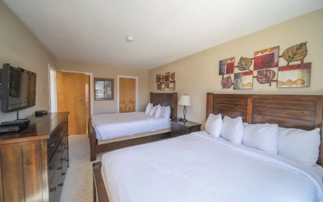 Edgewater 1451