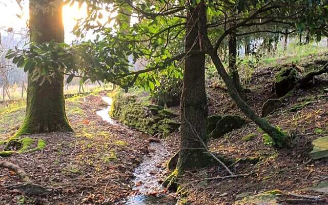 B&B Bouton D'Or La Bouriotte