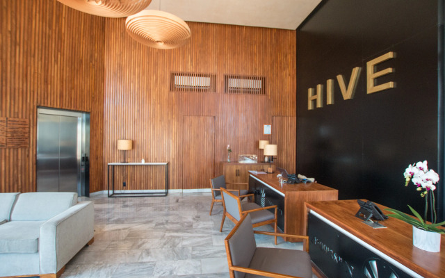 Hive Cancun