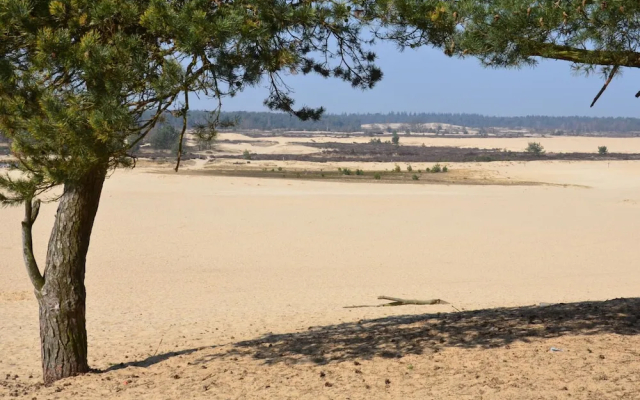 Chalet Near Drunense Dunes