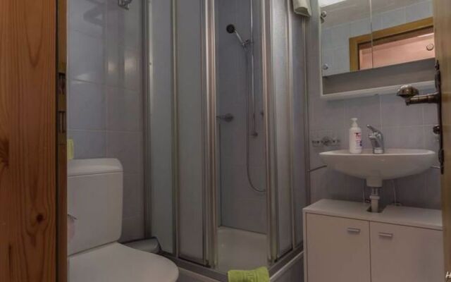 Apartment Bergfink Saas-Fee 10199