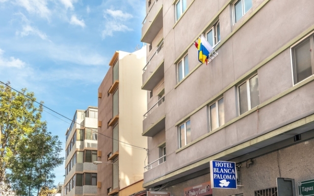 Le Petit Palü Las Palmas