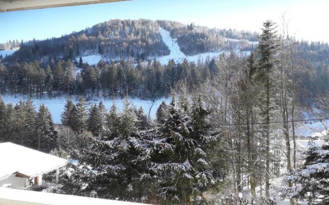 Appartement Les Oursons La Bresse