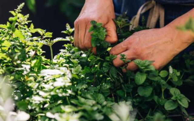 Gasthof Zum Lowen-Post