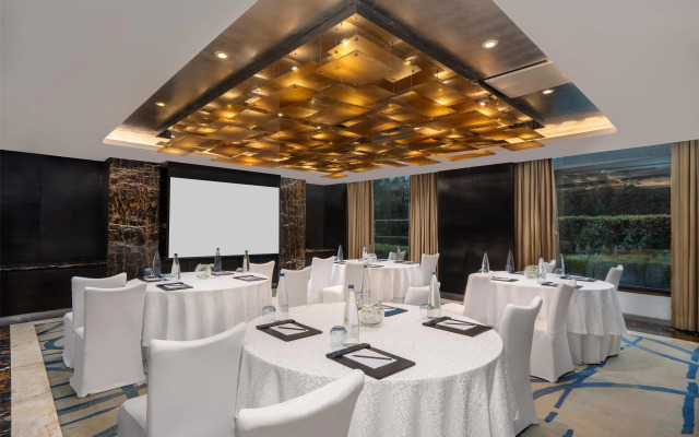 Radisson Blu Plaza Delhi Airport