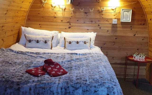 The Little Hide - Adult Only Camping Pods