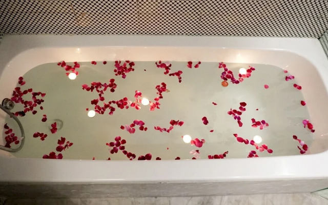 The Grand viktoria Hotel