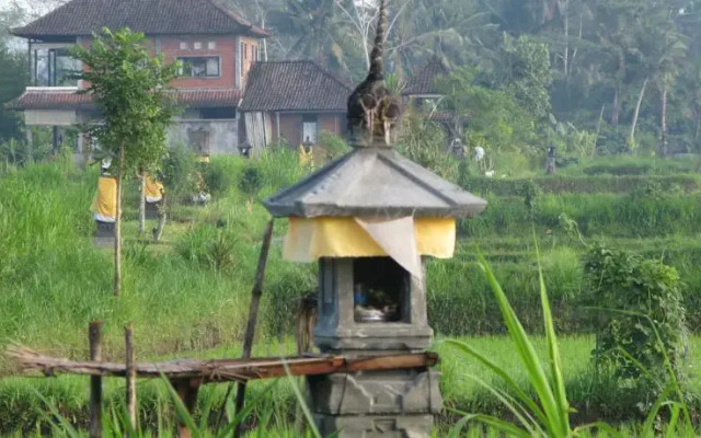 Swallow Guesthouse