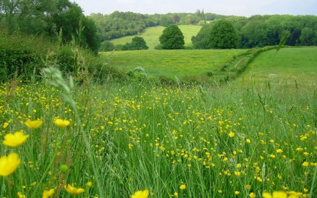 Bungalowpark Landsrade Gulpen