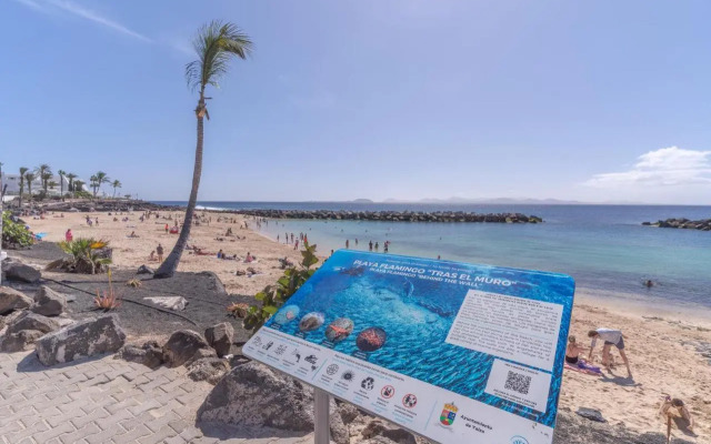Playa Flamingo C