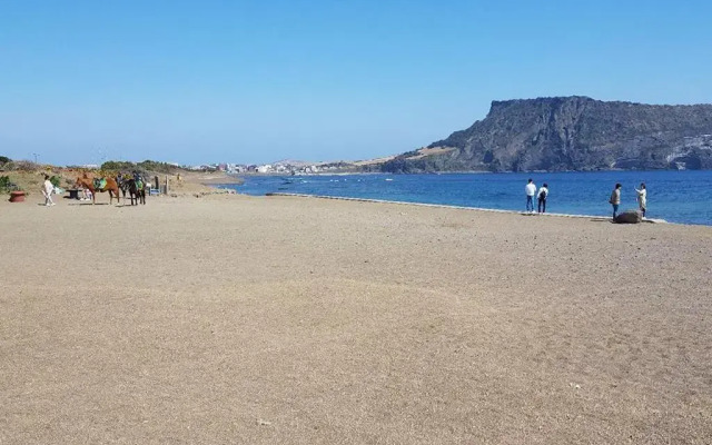 Sun flower Guesthouse