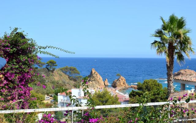 Blanca Paloma Holiday House