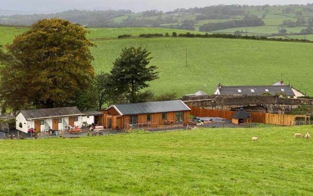 Newlands Farm Stables