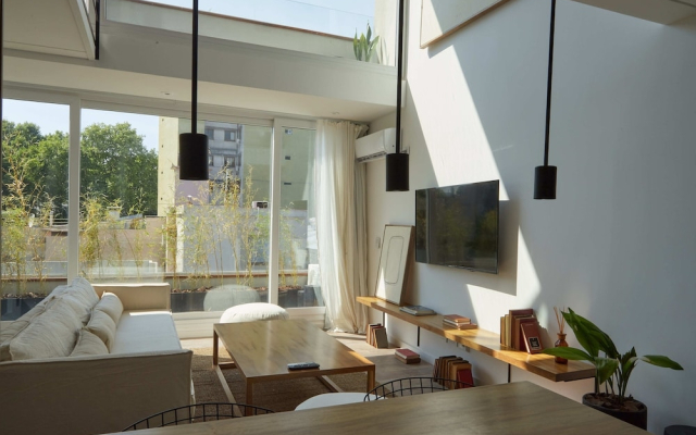 Triplex with rooftop for private use II