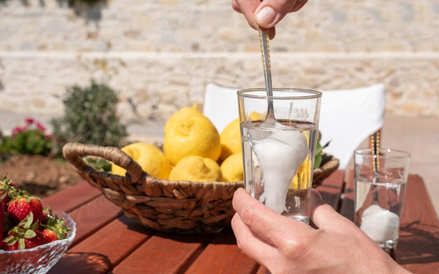 Zeus Traditional House