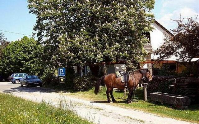 Gasthaus-Pension Zum Brandweiher