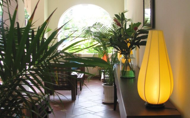 Jardin Des Thés