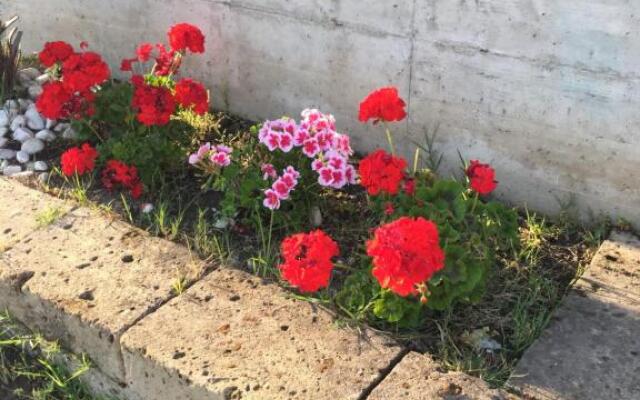 camera con giardino e piscina