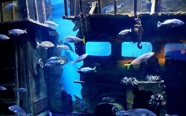 Granada City Alanya Luxury Appartment 800м от пляжа Клеопатра