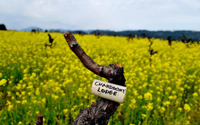 Chardonnay Lodge