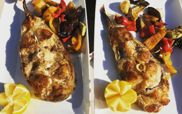 Stiuca Schioapa Baltenii de Sus