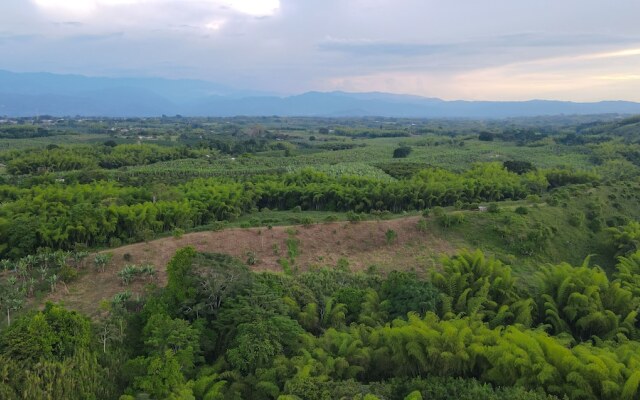 Palta Eco Haven Hotel