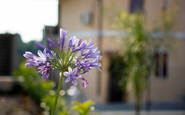 Residenza Borgo Italico