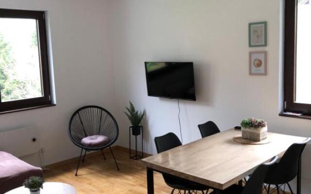 Vila Irina Apartman 8