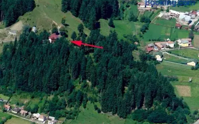 Pension Cabana Ionela