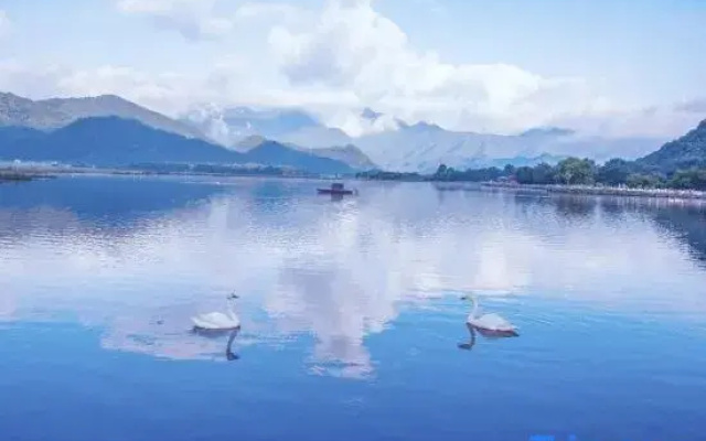 Shennongjia Lily Hotel (Dajiuhu Pingqian Ancient Town)