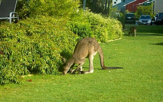 Footprints at Preston Beach