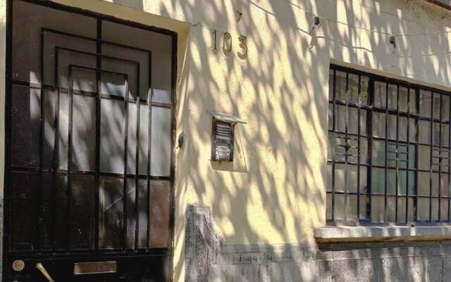 Stylish Condesa with Terrace