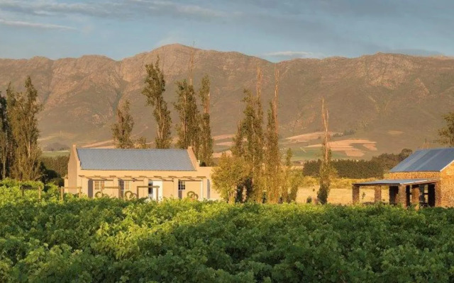 Saronsberg Vineyard Cottages
