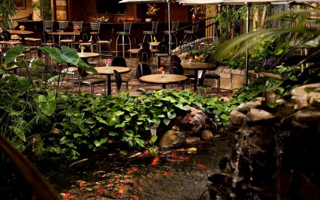 Embassy Suites Lubbock