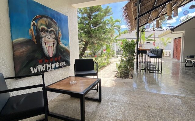 Wild Monkeys Hostel