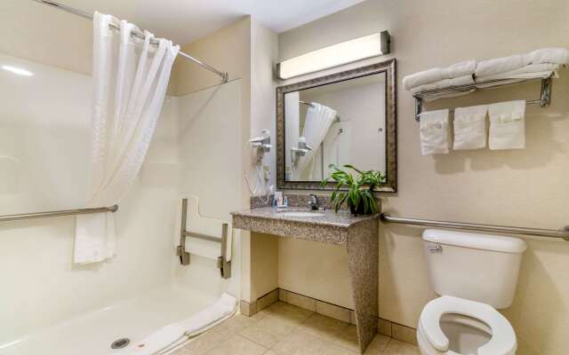 Comfort Inn & Suites near Bethel College