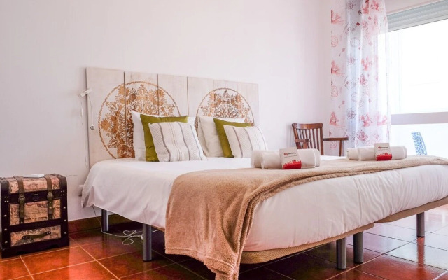 Aliados Delight by Homing