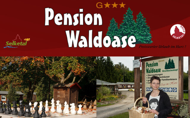 Pension Waldoase Hirschbüchenkopf