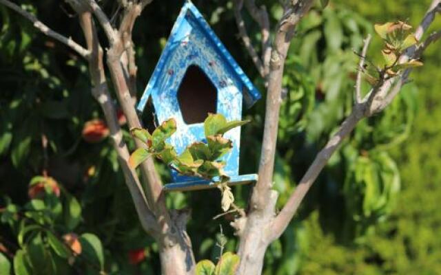 Alacati Gubiba Hotel