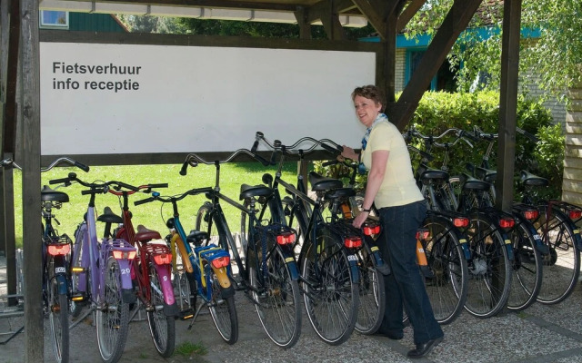 Tidy Bungalow With Microwave Near Renesse and Beach