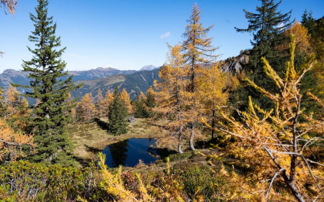 Hotel Gratz Großarl