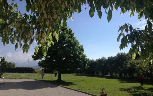 BB Villa Napoli
