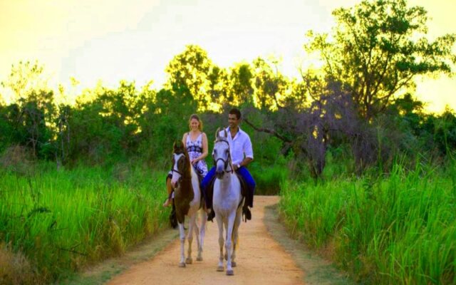 The Elephant Corridor Hotel