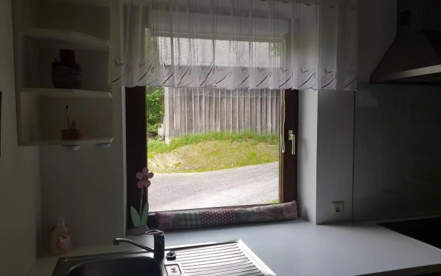 Appartement Mühlebnerhof