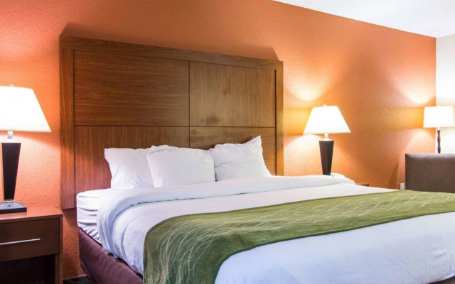 Comfort Inn & Suites Charleston Airport Convention Center
