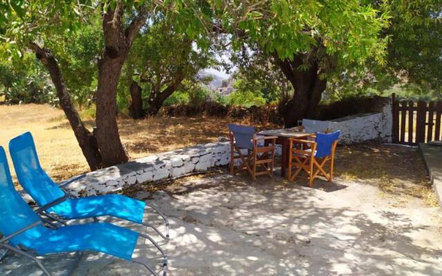 Almond trees house
