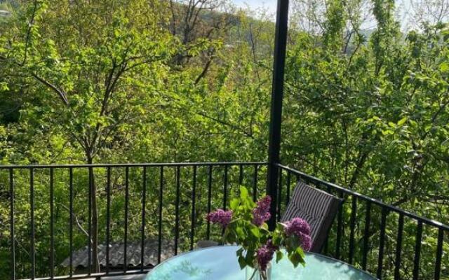 Guest House Sarajishvilze