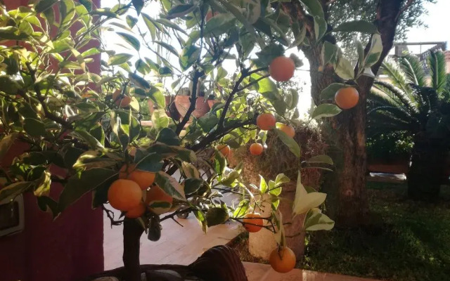 Hostel Taormina's Odyssey B