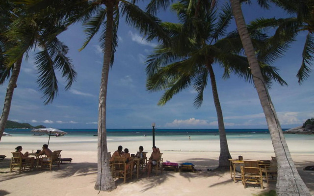 Palm Leaf Resort